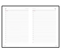 Ежедневник недатированный А6+ 