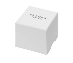 Часы наручные, мужские. Skagen