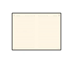 Ежедневник полудатированный портфолио А5  