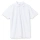 Рубашка поло мужская Spring 210, белая