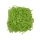 Бумажный наполнитель, 50 г., зеленая липа