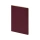 Бизнес тетрадь А5 "Pragmatic", 40 листов в клетку, бордовый