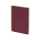 Бизнес тетрадь на гребне А5 "Pragmatic", 60 листов в клетку, бордовый