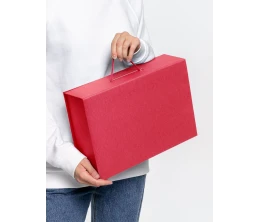 Коробка Case, красная