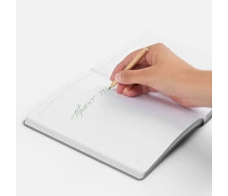 Набор цветных карандашей Pencilvania Mini, крафт