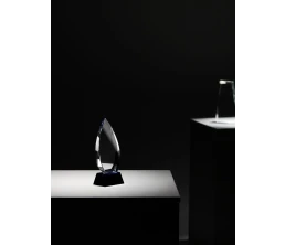 Награда Droplet