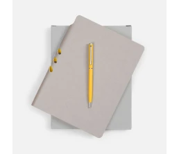 Набор Flexpen, серебристо-желтый