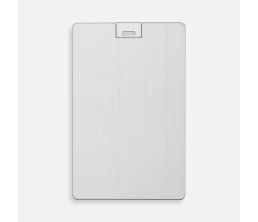 Флешка Platinum Card, 32 Гб, серебристая