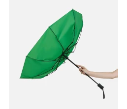 Зонт складной Monsoon, зеленый