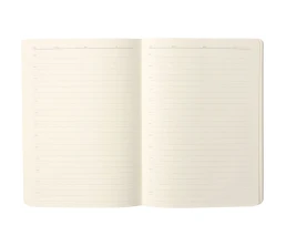 Ежедневник Eco Write, недатированный