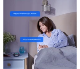 Умная колонка «Капсула Мини» с помощником «Маруся», темно-серая