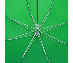 Зонт-трость Promo, зеленый