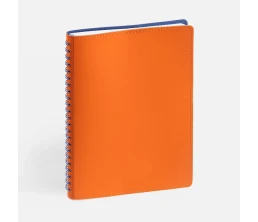 Ежедневник Spring Shall, недатированный, оранжевый Ежедневник Spring Shall, недатированный, оранжевый