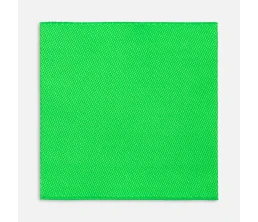 Лейбл тканевый Epsilon, L, зеленый неон