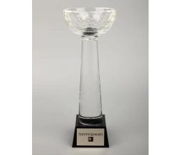 Кубок Cupture, большой