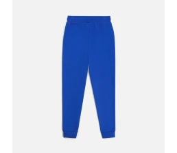 Джоггеры J2, синие