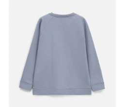 Свитшот унисекс S1, серый