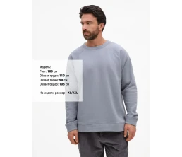 Свитшот унисекс S1, серый