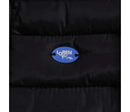 Шильдик металлический Alfa Oval, синий