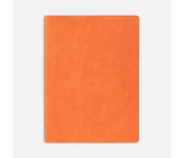 Ежедневник в суперобложке Brave Book, недатированный, оранжевый