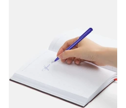 Ручка шариковая Penpal, синяя