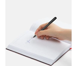 Ручка шариковая Penpal, черная