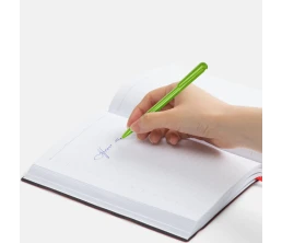 Ручка шариковая Penpal, зеленая