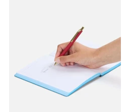 Ручка шариковая Lobby Soft Touch Gold, красная