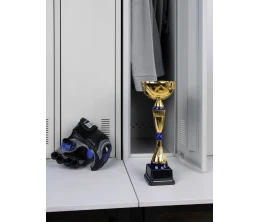 Кубок Awardee, средний, синий