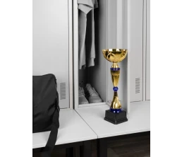 Кубок Awardee, большой, синий