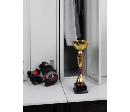 Кубок Awardee, средний, красный