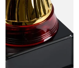 Кубок Awardee, средний, красный