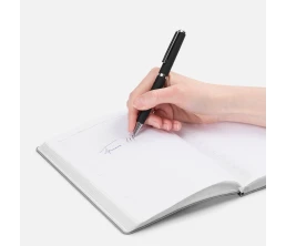 Ручка шариковая Inkish Chrome в футляре, черная