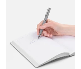 Ручка шариковая Inkish Chrome в футляре, серая