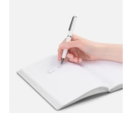 Ручка шариковая Inkish Chrome в футляре, белая