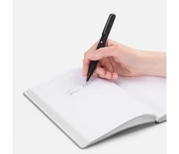 Ручка шариковая Inkish Gunmetal в футляре, черная