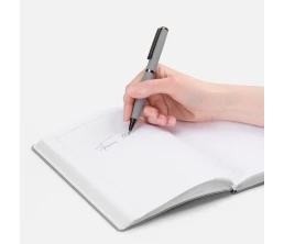 Ручка шариковая Inkish Gunmetal в футляре, серая