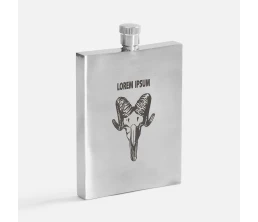 Фляжка Daily Tot