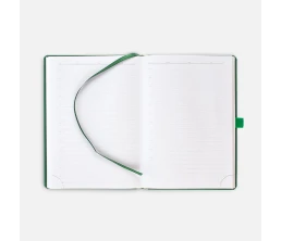 Ежедневник Favor Gold, недатированный, ярко-зеленый