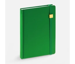 Ежедневник Favor Gold, недатированный, ярко-зеленый
