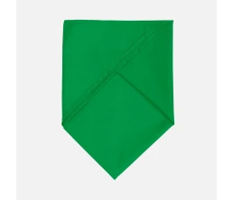 Шейный платок Bandana, ярко-зеленый