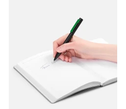 Ручка шариковая Inkolor, черная с зеленым