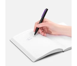 Ручка шариковая Inkolor, черная с фиолетовым