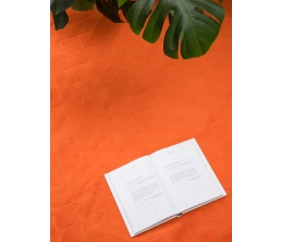 Плед для пикника Soft & Dry 2, оранжевый
