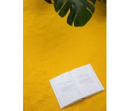 Плед для пикника Soft & Dry 2, желтый