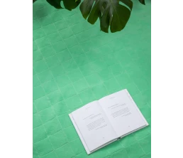 Плед для пикника Soft & Dry 2, светло-зеленый