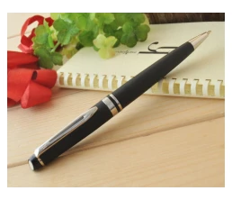 Шариковая ручка Waterman Expert 3, цвет: MattBlack CT