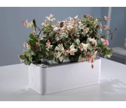 Компактный смарт-сад «iGarden»