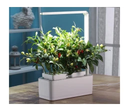 Компактный смарт-сад «iGarden LED» с подсветкой