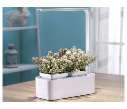 Компактный смарт-сад «iGarden LED» с подсветкой